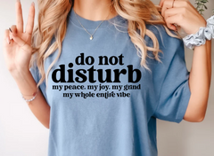 DO Not Disturb .... shirt